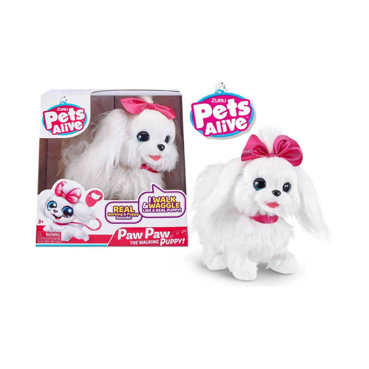 Pets alive a spasso con lilli maltese