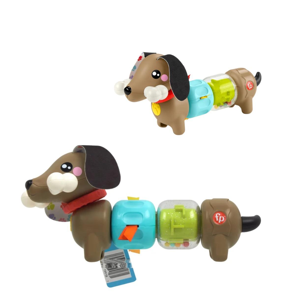 Bassotto gira e gioca