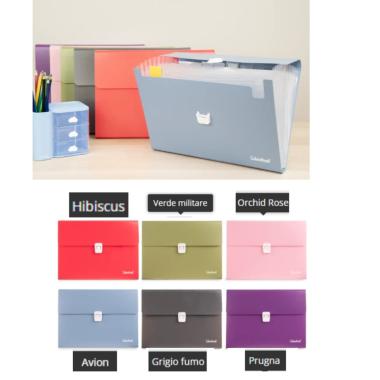 Porta documenti a4 wild a scomparti