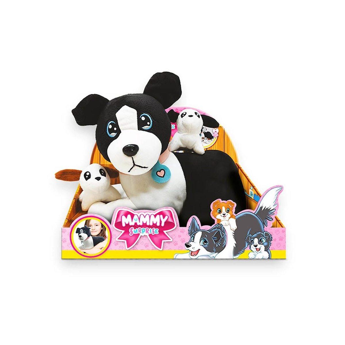 Mammy surprise cagnolina border collie
