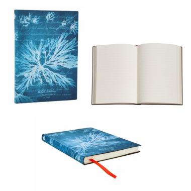 Notebook midi copertina flex paperblanks fiore di mare